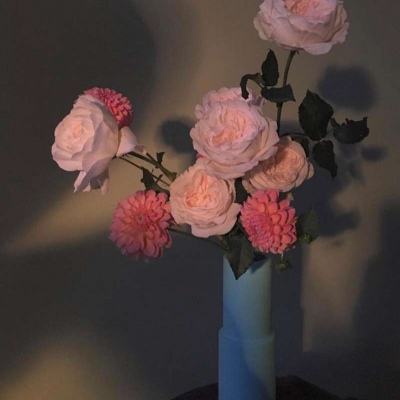 足球竞彩appapp下载